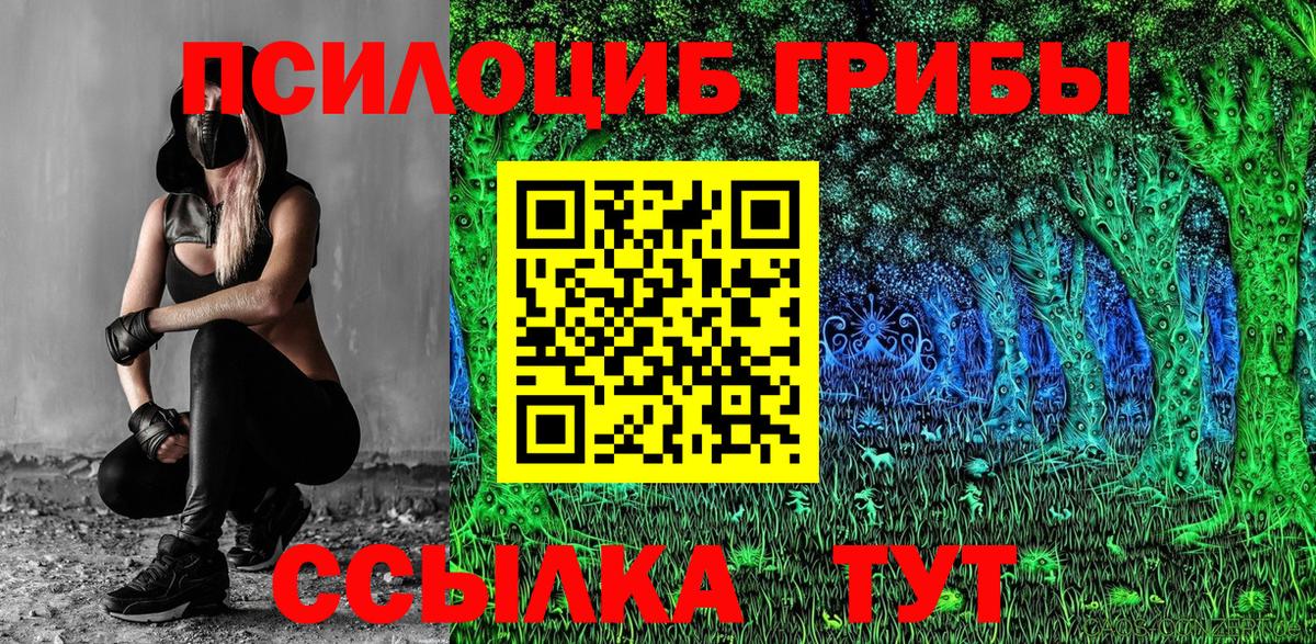 Галлюциногенные грибы прущие грибы Дзержинский