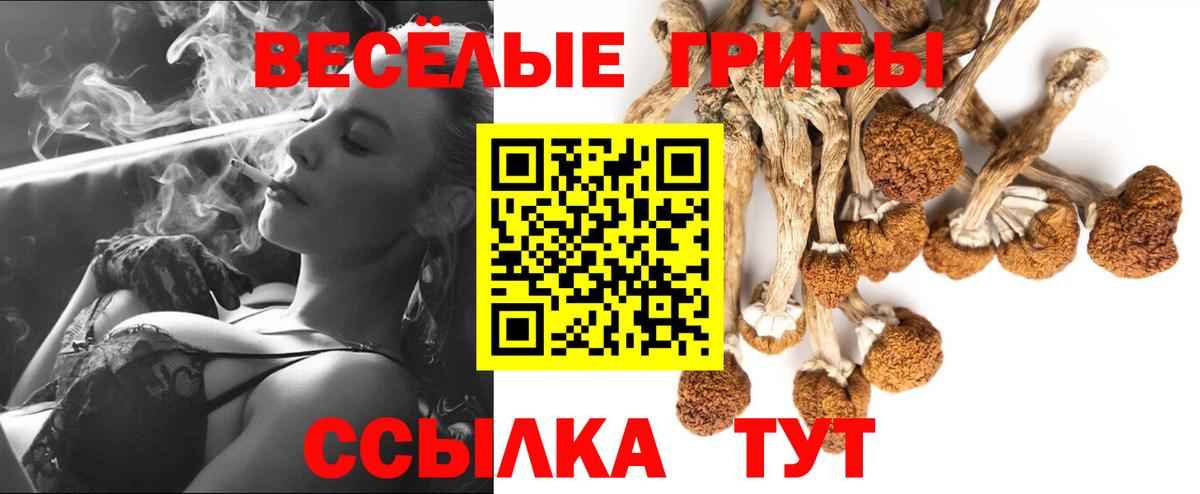 Галлюциногенные грибы MAGIC MUSHROOMS  Псилоцибиновые грибы GOLDEN TEACHER  Вход с VPN  Дзержинский 